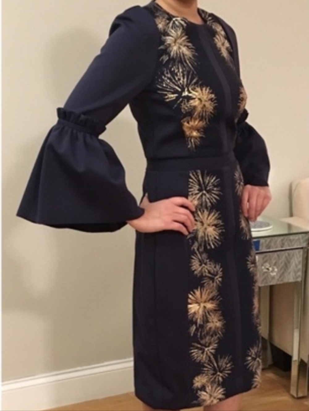 Ted Baker London Fireworks Sheath Dress NWOT - Picture 5 of 11